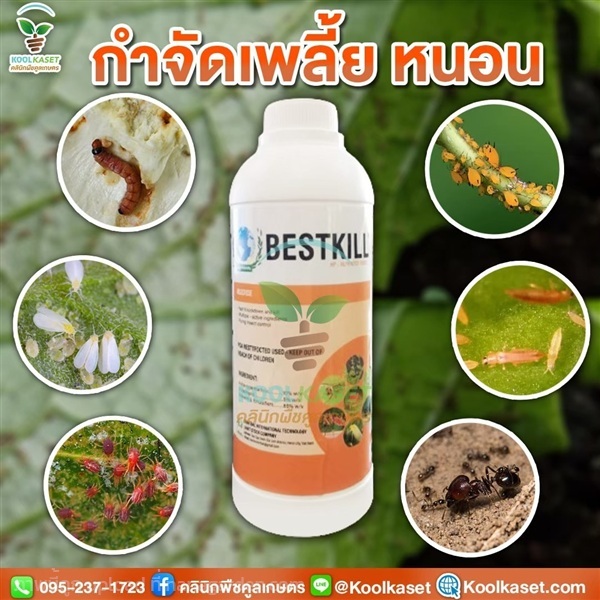 กำจัดหนอน  Bestkill ข้าว อ้อย หนอนม้วนใบ หนอนเจาะ | คลินิกพืชคูลเกษตร - ชุมตาบง นครสวรรค์