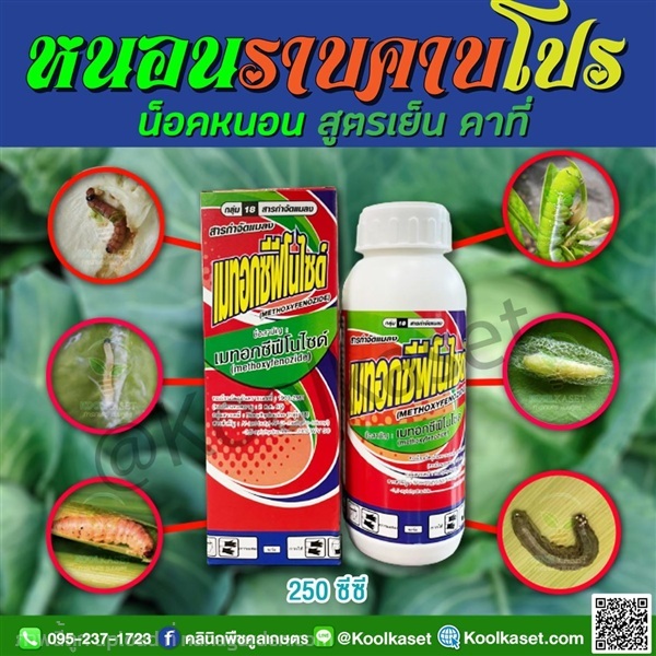 กำจัดหนอน เมทอกซีฟีโนไซด์ หนอนกระทู้ ม้วนใบ ชอนใย | คลินิกพืชคูลเกษตร - ชุมตาบง นครสวรรค์