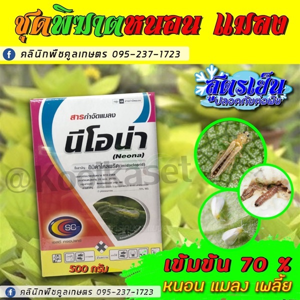 กําจัดเพลี้ย นีโอน่า ป้องกัน แมลง เพลี้ย หนอน | คลินิกพืชคูลเกษตร - ชุมตาบง นครสวรรค์