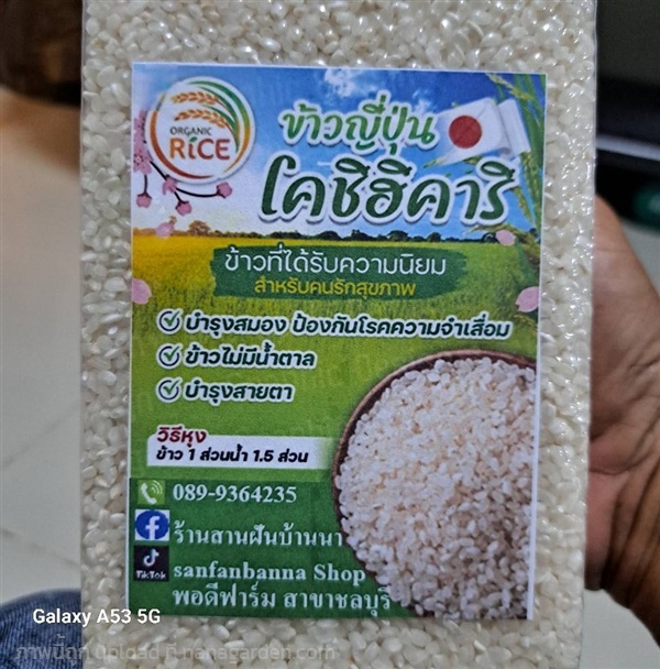 ข้าวญี่ปุ่น โคชิฮิคาริ | ร้านสานฝันบ้านนา - น้ำพอง ขอนแก่น