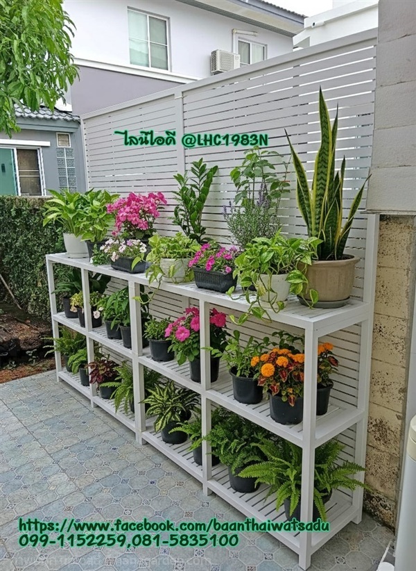 ชั้นวางต้นไม้ไม่ผุ ชั้นวางต้นไม้ไม่ขึ้นสนิม | บ้านทำไม้ - พุทธมณฑล นครปฐม