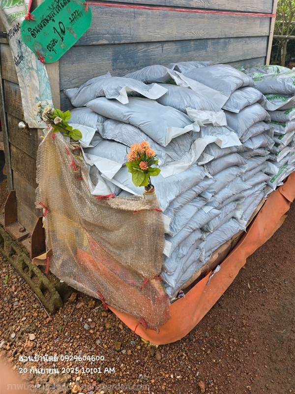 ดินผสมมูลไส้เดือน ใช้เยอะ สั่งล่วงหน้า2วันนะคะ  | สวนป้านิตย์ ปราจีนบุรี - เมืองปราจีนบุรี ปราจีนบุรี