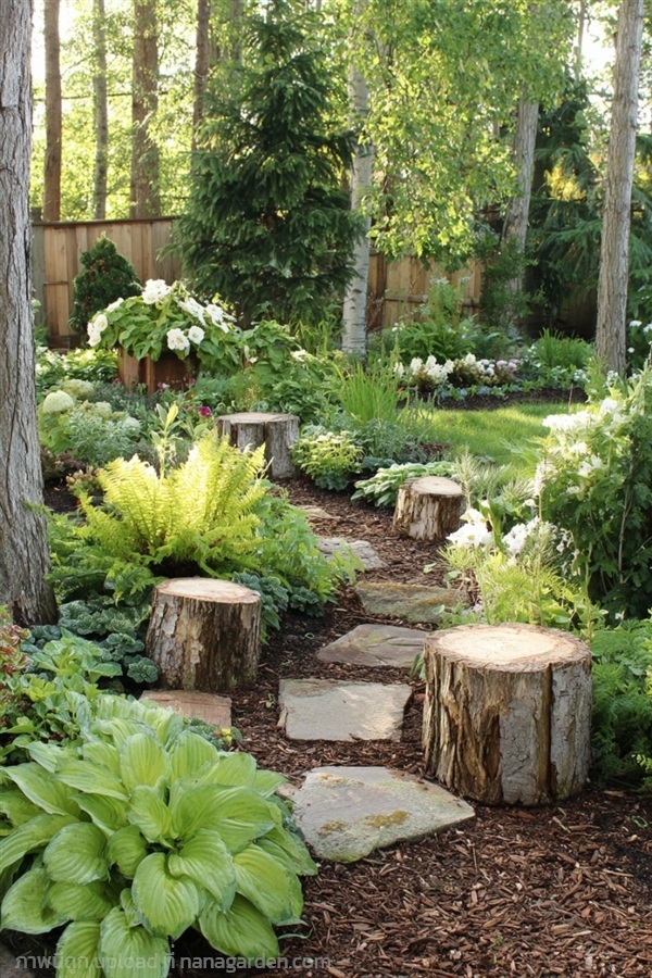 FORESTVIBE เป็นผลิตภัณฑ์ตกแต่งบ้านจากตอไม้ธรรมชาติ | สวนคุณยุทธ - ดอนตูม นครปฐม