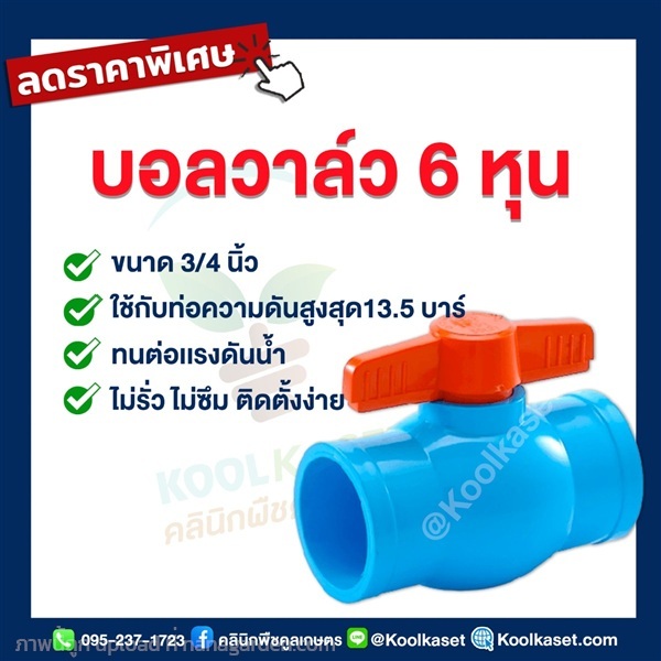 บอลวาล์ว? PVC วาล์ว ? แบบสวม? 6 หุน | คลินิกพืชคูลเกษตร - ชุมตาบง นครสวรรค์