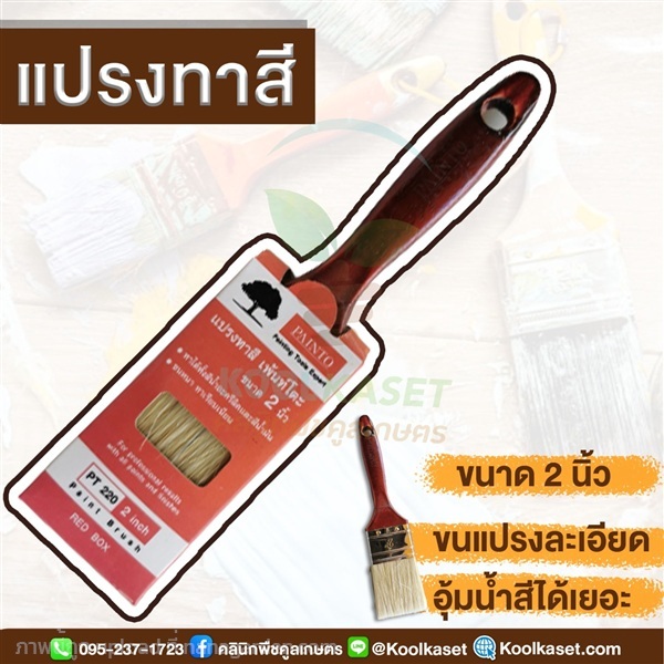 แปรงทาสี ขนาด 2 นิ้ว | คลินิกพืชคูลเกษตร - ชุมตาบง นครสวรรค์