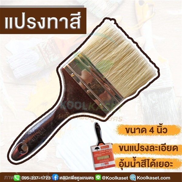 แปรงทาสี ขนาด 4 นิ้ว | คลินิกพืชคูลเกษตร - ชุมตาบง นครสวรรค์