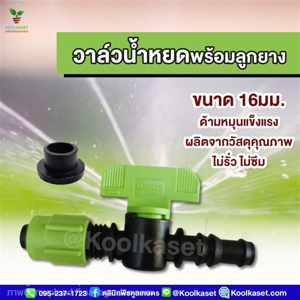 วาล์วน้ำหยดพร้อมลูกยาง ขนาด 5 หุน | คลินิกพืชคูลเกษตร - ชุมตาบง นครสวรรค์