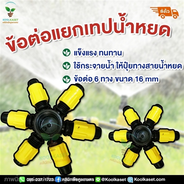 ข้อต่อแยกเทปน้ำหยด 6 ทาง ขนาด 5 หุน | คลินิกพืชคูลเกษตร - ชุมตาบง นครสวรรค์
