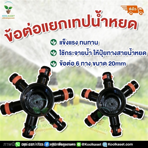 ข้อต่อแยกเทปน้ำหยด 6 ทาง ขนาด 6 หุน | คลินิกพืชคูลเกษตร - ชุมตาบง นครสวรรค์