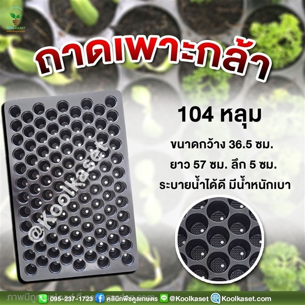 ถาดเพาะกล้า มีรูระบายน้ำ 104 หลุม ขนาดลึก 5 ซม. | คลินิกพืชคูลเกษตร - ชุมตาบง นครสวรรค์