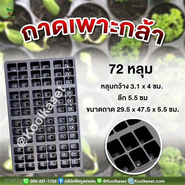 ถาดเพาะกล้า มีรูระบายน้ำ 72 หลุม ขนาดลึก 5.5 ซม. | คลินิกพืชคูลเกษตร - ชุมตาบง นครสวรรค์
