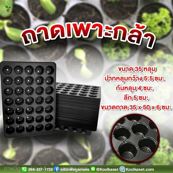 ถาดเพาะกล้า มีรูระบายน้ำ 35 หลุม ขนาดลึก 5 ซม | คลินิกพืชคูลเกษตร - ชุมตาบง นครสวรรค์