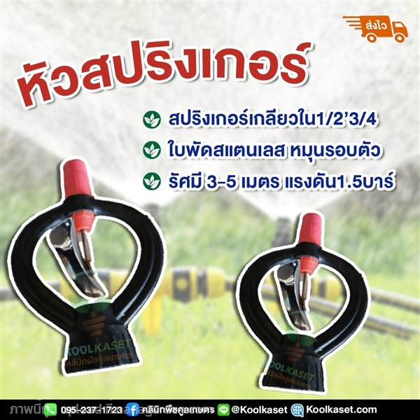 สปิงเกอร์ ใบพัดสแตนเลส เกลียวใน | คลินิกพืชคูลเกษตร - ชุมตาบง นครสวรรค์