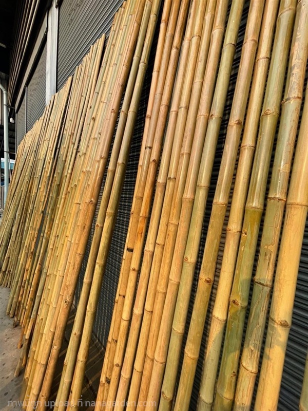 ไม้ไผ่แช่น้ำยากันมอด 100 % ขนาด 4 - 5 ซม. ยาว 2 ม. | mebamboothailand - เมืองนนทบุรี นนทบุรี