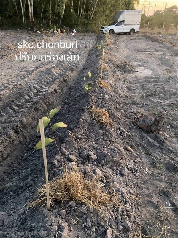 รับบริการยกร่องสวนราคาประหยัด | SKC Chonburi - เมืองชลบุรี ชลบุรี