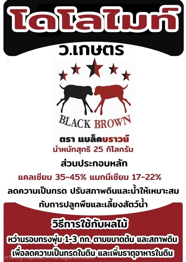 โดโลไมท์ ตรา แบล็คบราวน์ ร้าน ว.เกษตร จันทบุรี | ร้าน ว.เกษตร จันทบุรี - เมืองจันทบุรี จันทบุรี