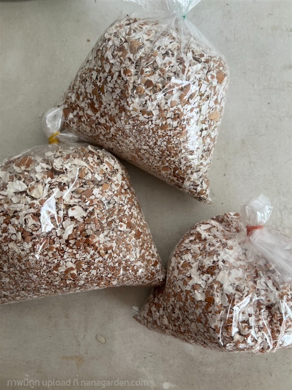 ปุ๋ยเปลือกไข่บด | Natural  - ลาดพร้าว กรุงเทพมหานคร