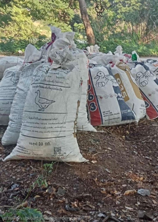 ใบก้ามปูล้วน บรรจุกระสอบ | สวนพันธุ์ไม้ ป๊อบ - องครักษ์ นครนายก