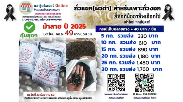 ถั่วเขียวผิวดำ (ถั่วแขก) สำหรับเพาะถั่วงอก ปี 2568 | เมล็ดถั่วเขียว อุบลราชธานี - เมืองอุบลราชธานี อุบลราชธานี