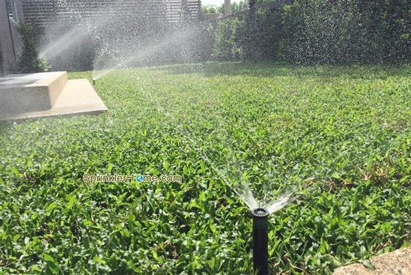 สปริงเกอร์ ระบบพ่นหมอก รดน้ำต้นไม้ตั้งเวลา | SprinklerHome.com สปริงเกอร์รดน้ำตั้งเวลา - คลองหลวง ปทุมธานี