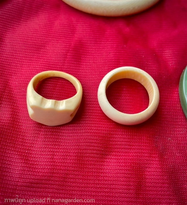 แหวนงา แหวนงาทรงกลม และรูปโล่ ผิวเรียบ วงในขนาด18ม | ร้านวังโบราณ - บางบัวทอง นนทบุรี