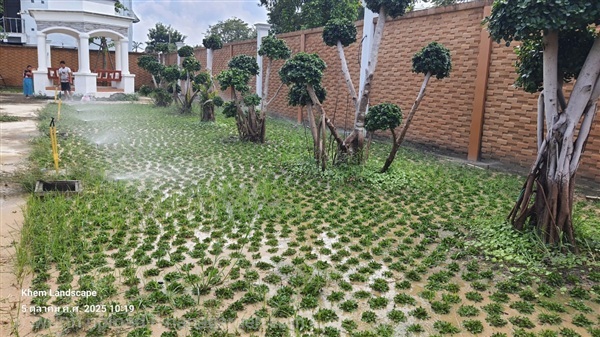 จัดสวน ออกแบบสวน บ่อปลาคาร์ฟ | เขม แลนดฺ์สเคป  Khem landscape - มีนบุรี กรุงเทพมหานคร