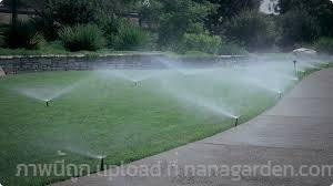 สปริงเกอร์  ออกแบบระบบน้ำอัตโนมัติ | เขม แลนดฺ์สเคป  Khem landscape - มีนบุรี กรุงเทพมหานคร