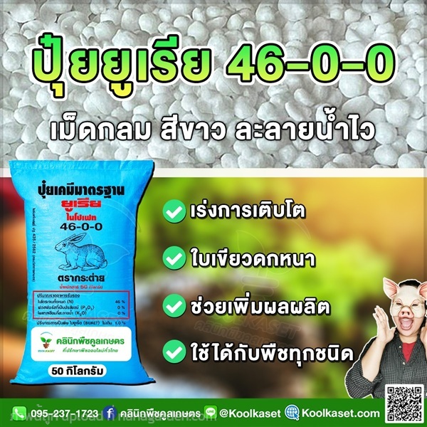 ปุ๋ยเม็ด 46-0-0 ยูเรีย ปุ๋ยโฟม ตรากระต่าย คูลเกษตร | คลินิกพืชคูลเกษตร - ชุมตาบง นครสวรรค์