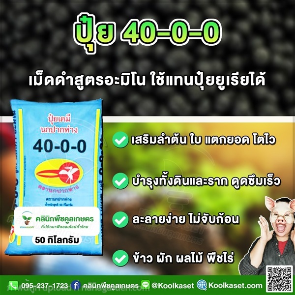 ปุ๋ยสูตร 40-0-0 ตรานกปากห่าง บำรุงดิน คูลเกษตร | คลินิกพืชคูลเกษตร - ชุมตาบง นครสวรรค์