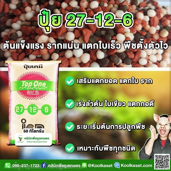 ปุ๋ยสูตร 27-12-6 ตราท็อปวัน เร่งแตกกอ คูลเกษตร  | คลินิกพืชคูลเกษตร - ชุมตาบง นครสวรรค์