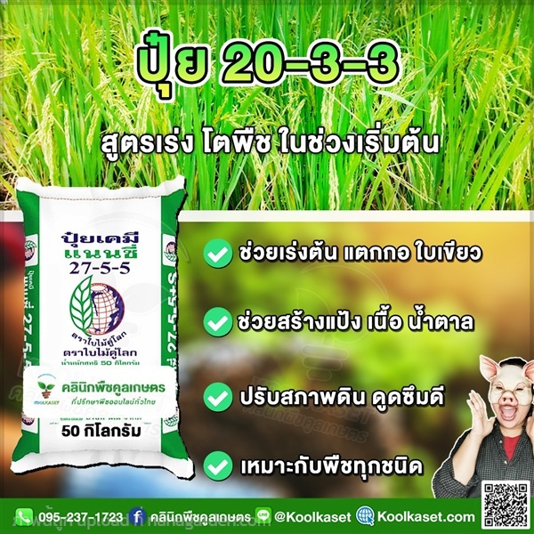 ปุ๋ยสูตร 27-5-5 ตราแนนซี่ เต็มสูตร คูลเกษตร  | คลินิกพืชคูลเกษตร - ชุมตาบง นครสวรรค์