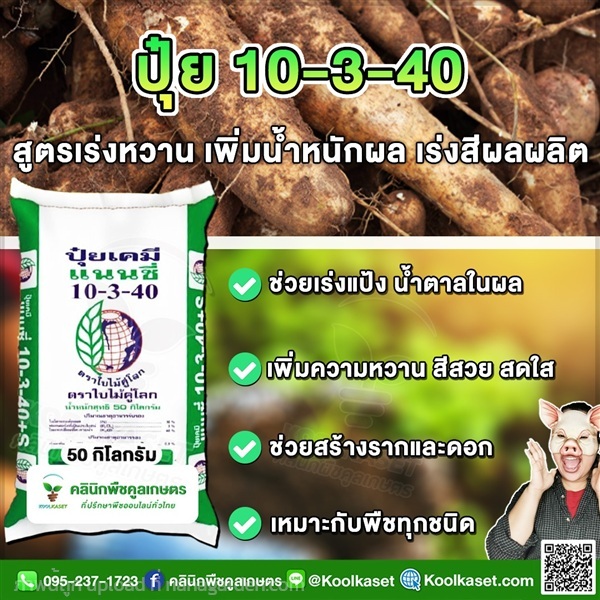ปุ๋ยสูตร 10-3-40 ตราแนนซี่ บำรุงผล คูลเกษตร  | คลินิกพืชคูลเกษตร - ชุมตาบง นครสวรรค์