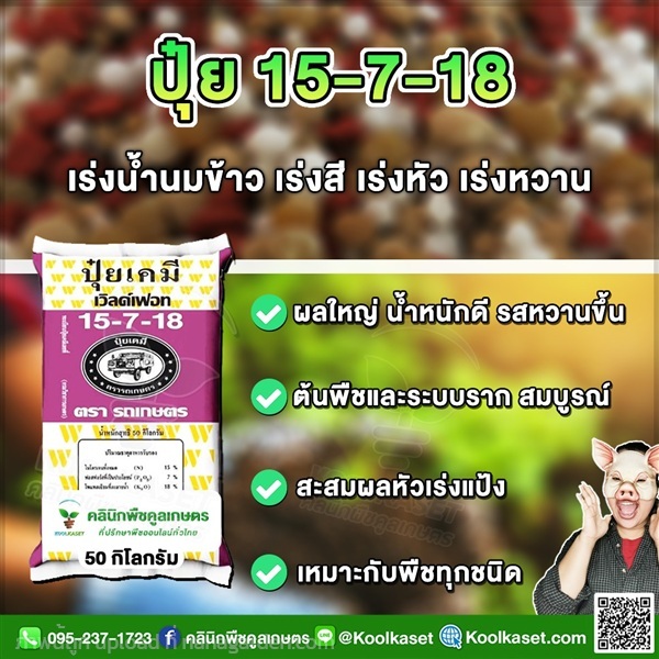 ปุ๋ยสูตร 15-7-18 ตรารถเกษตร เร่งน้ำยาง คูลเกษตร  | คลินิกพืชคูลเกษตร - ชุมตาบง นครสวรรค์