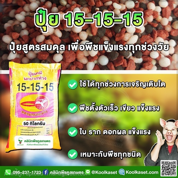 ปุ๋ยสูตร 15-15-15 ตรานกปากห่าง แท้ คูลเกษตร | คลินิกพืชคูลเกษตร - ชุมตาบง นครสวรรค์