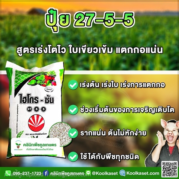 ปุ๋ยสูตร 27-5-5  ตราSCไฮโกร เร่งราก คูลเกษตร  | คลินิกพืชคูลเกษตร - ชุมตาบง นครสวรรค์