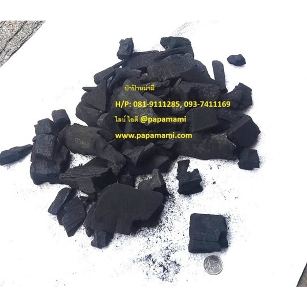ถ่านไม้ ถ่านปลูกต้นไม้ ถ่านติดไฟ ถ่านหุงต้ม | บ้านป่าป๊า & หม่ามี๊ - บางบัวทอง นนทบุรี