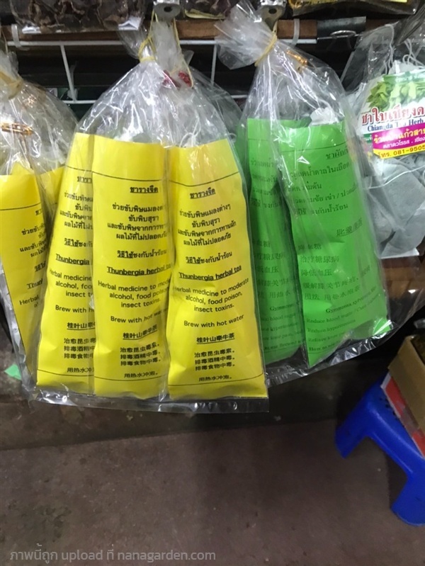 ชารางจืด | สวนแสงสว่าง - สารภี เชียงใหม่