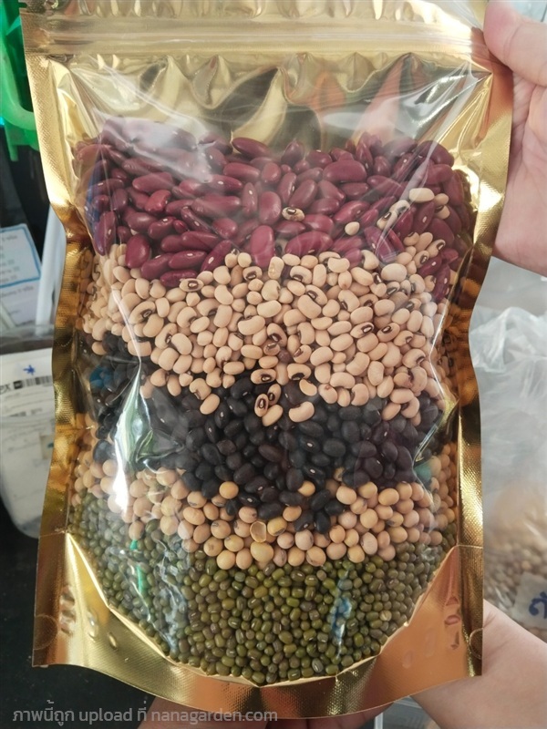 ถั่ว5สี ธัญพืช5ชนิด สำหรับรับประทาน | เมล็ดพันธุ์ดี เกษตรวิถีไทย - เมืองระยอง ระยอง