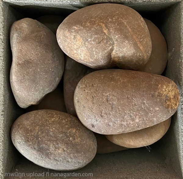 หินแม่น้ำประดับสวน สีน้ำตาล กลม เบอร์5 | รวมซีเมนต์กัลปพฤกษ์ - บางแค กรุงเทพมหานคร