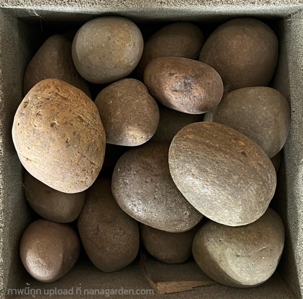 หินแม่น้ำประดับสวน สีน้ำตาล กลม เบอร์3 | รวมซีเมนต์กัลปพฤกษ์ - บางแค กรุงเทพมหานคร