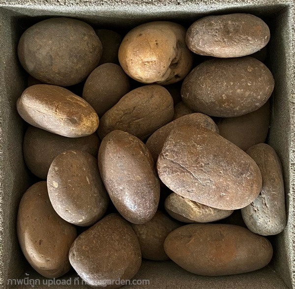 หินแม่น้ำประดับสวน สีน้ำตาล กลม เบอร์2 | รวมซีเมนต์กัลปพฤกษ์ - บางแค กรุงเทพมหานคร
