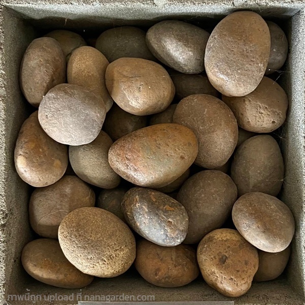 หินแม่น้ำประดับสวน สีน้ำตาล กลม เบอร์1 | รวมซีเมนต์กัลปพฤกษ์ - บางแค กรุงเทพมหานคร
