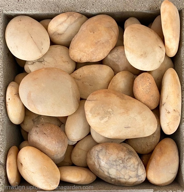 หินแม่น้ำประดับสวน สีเหลือง แบน เบอร์2 | รวมซีเมนต์กัลปพฤกษ์ - บางแค กรุงเทพมหานคร