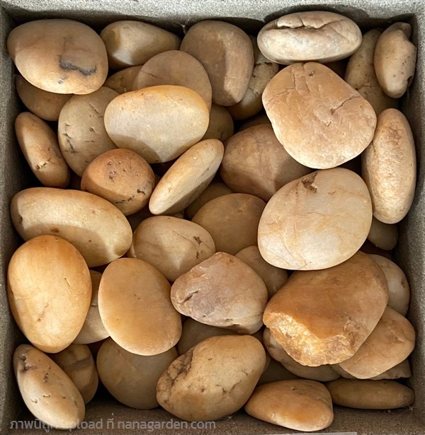 หินแม่น้ำประดับสวน สีเหลือง แบน เบอร์1 | รวมซีเมนต์กัลปพฤกษ์ - บางแค กรุงเทพมหานคร