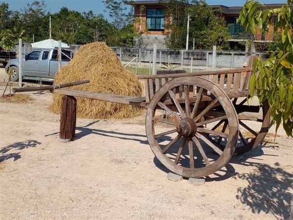 เกวียนไม้โบราณ ศิลปะลำปาง เกวียนไม้สัก | ร้านวังโบราณ - บางบัวทอง นนทบุรี