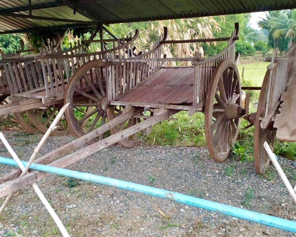 เกวียนโบราณ เกวียนไม้เก่า เกวียนไม้โบราณ | ร้านวังโบราณ - บางบัวทอง นนทบุรี