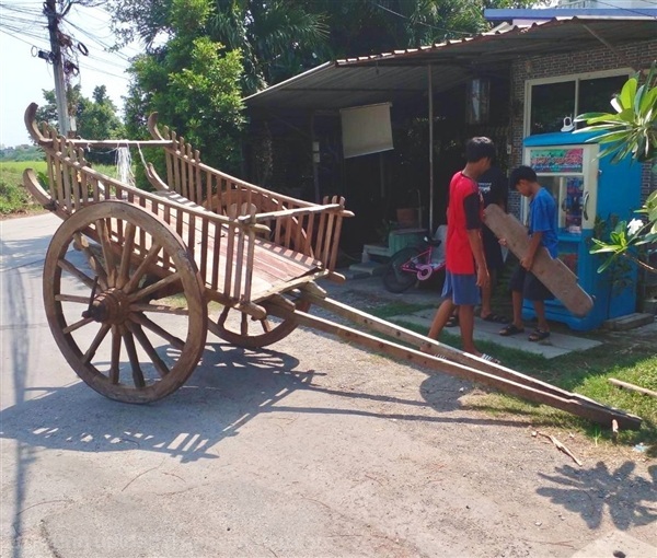 เกวียนโบราณ เกวียนไม้โบราณ เกวียนไม้สัก | ร้านวังโบราณ - บางบัวทอง นนทบุรี