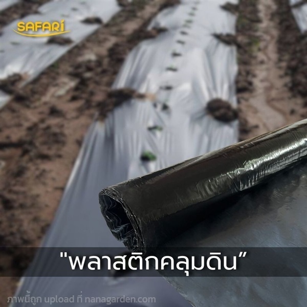 พลาสติกคลุมดิน  | บริษัท เวิลด์ เบสท์ เอนจิเนียริ่ง จำกัด - บางนา กรุงเทพมหานคร