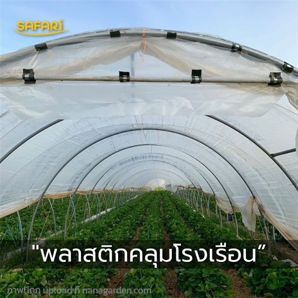 พลาสติกคลุมโรงเรือน  | บริษัท เวิลด์ เบสท์ เอนจิเนียริ่ง จำกัด - บางนา กรุงเทพมหานคร