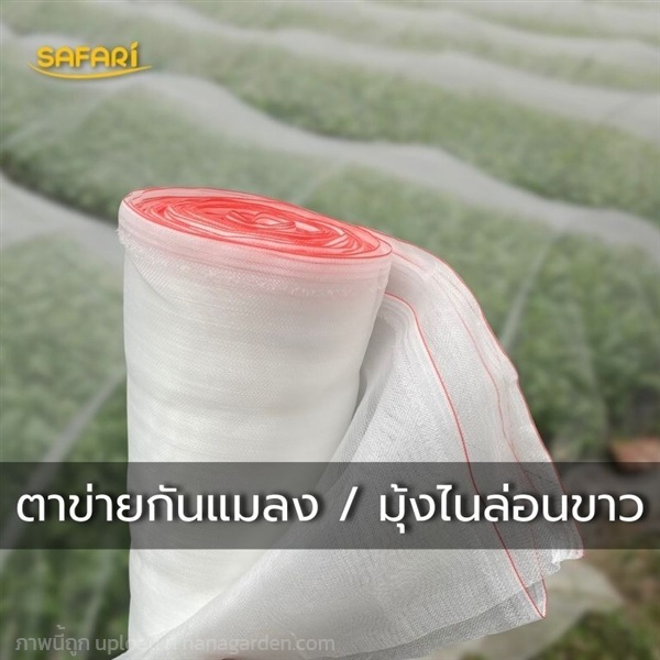ตาข่ายกันแมลง / มุ้งไนล่อนขาว มุ้งกันแมลง | บริษัท เวิลด์ เบสท์ เอนจิเนียริ่ง จำกัด - บางนา กรุงเทพมหานคร